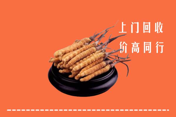 高价求购：西安市未央回收散虫草