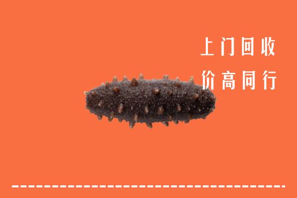 高价求购：西安市未央回收海参