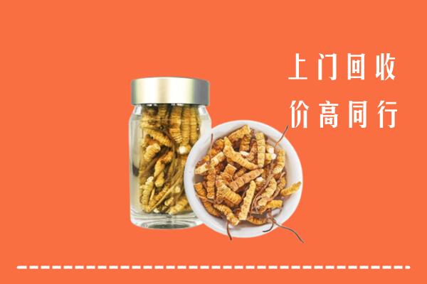 西安市未央回收冬虫夏草
