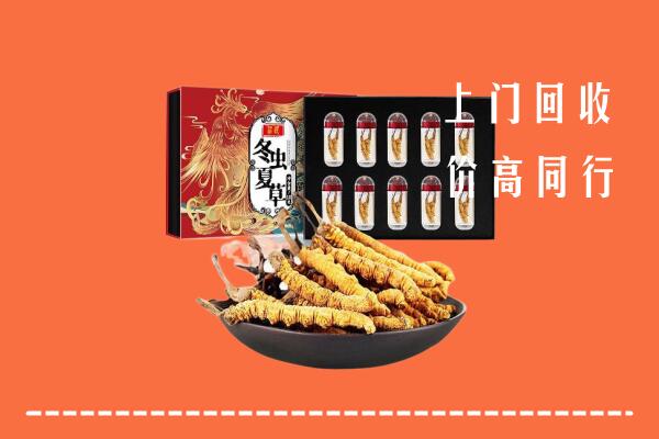 西安市未央回收虫草